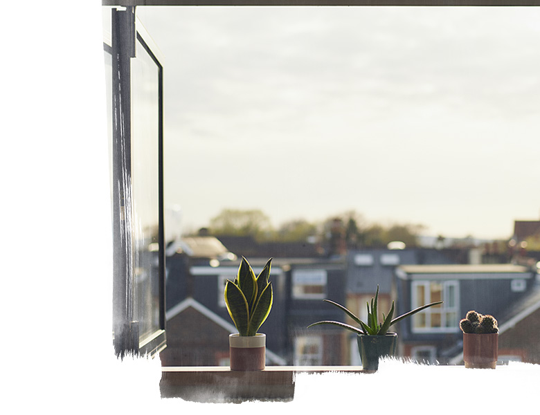 Three plants sit on window frame of open bi-fold window of high building in sunlight looking down onto other houses