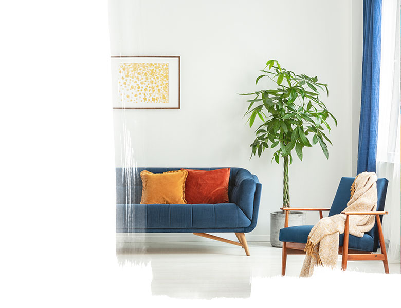 Mid-century modern chair with a blanket and a large sofa with colorful cushions in a spacious living room interior with green plants and white walls. Real photo.